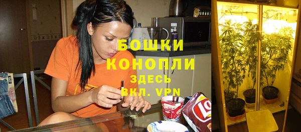 винт Горно-Алтайск